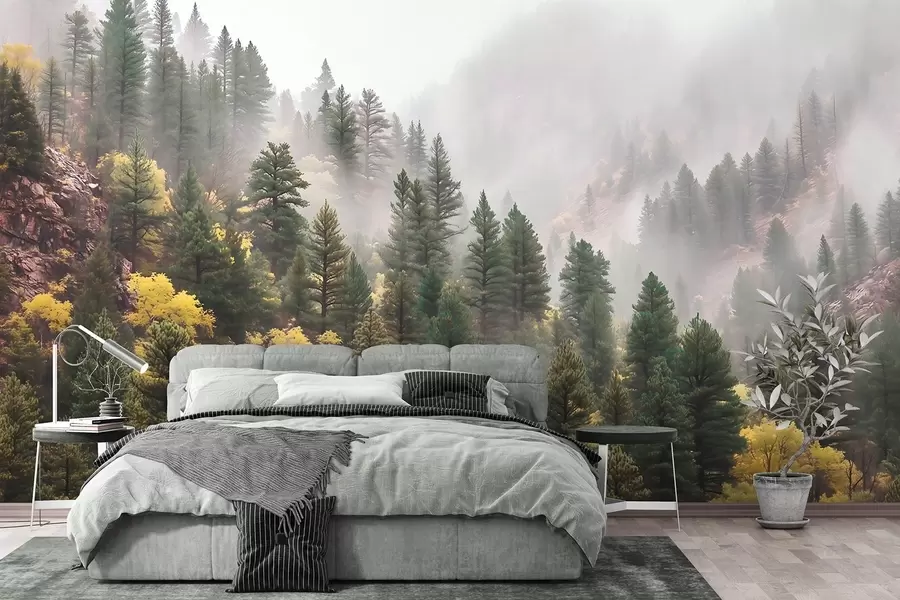 wall murals Atmospheric misty pine forest in the mountains w09463