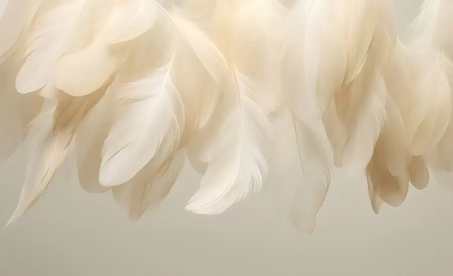wall murals Lush and delicate hanging feathers in soothing tones w04842