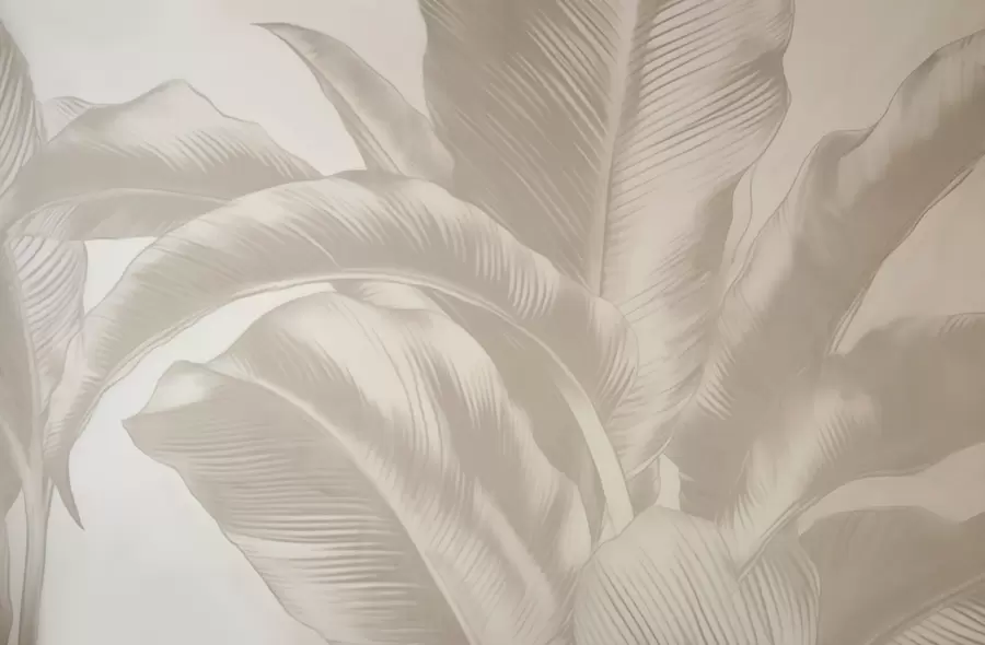 wall murals Long leaves, banana leaves with a worn effect w04827