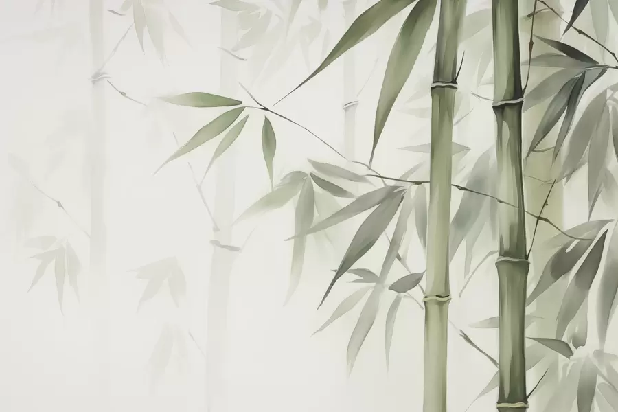 wall murals Bamboo w04981