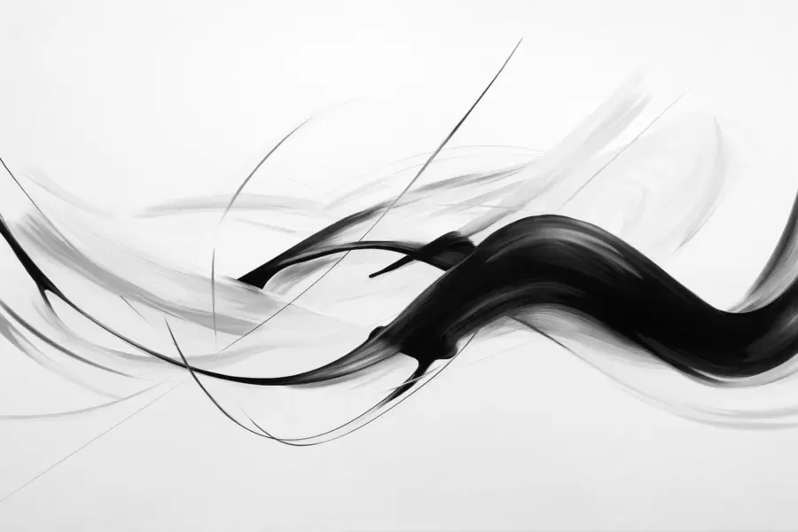 wall murals Abstract black and white brush strokes with thin lines creating a modern design against light background w09605