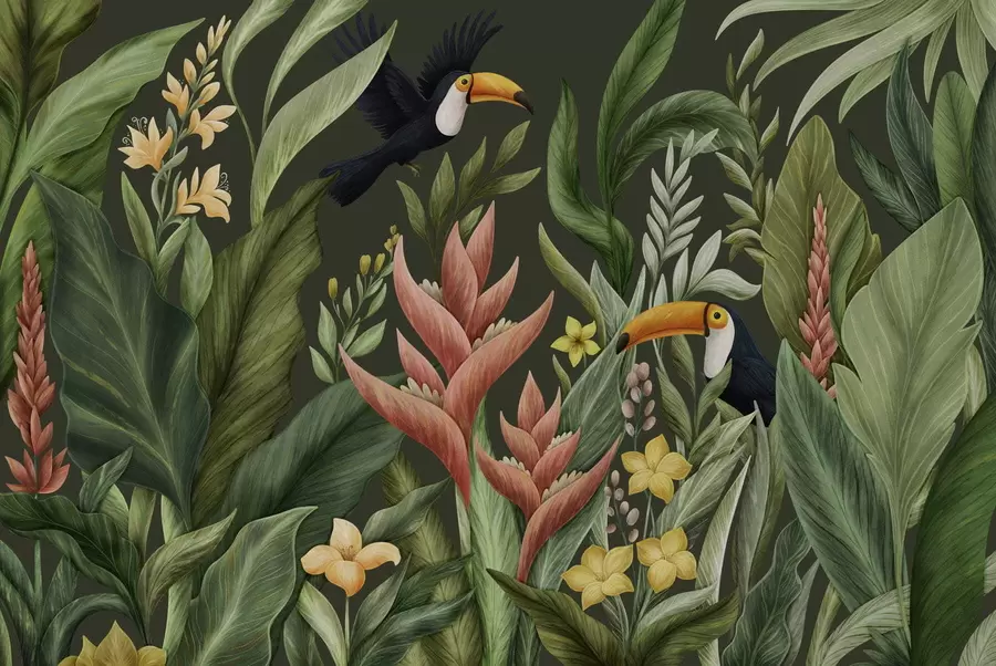 wall murals Tropical foliage and large-beaked birds on dark background w05088