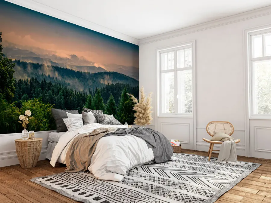 wall murals Trees of trees in the fog u72174