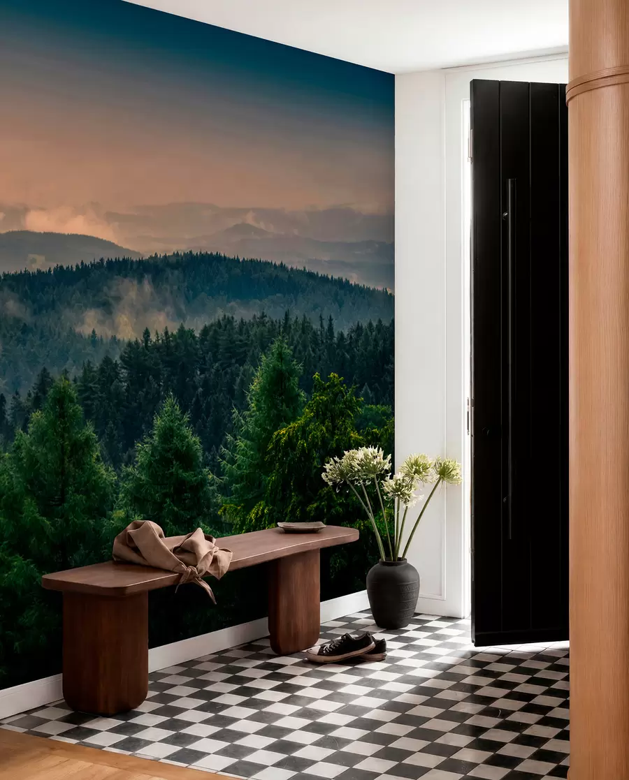 wall murals Trees of trees in the fog u72174