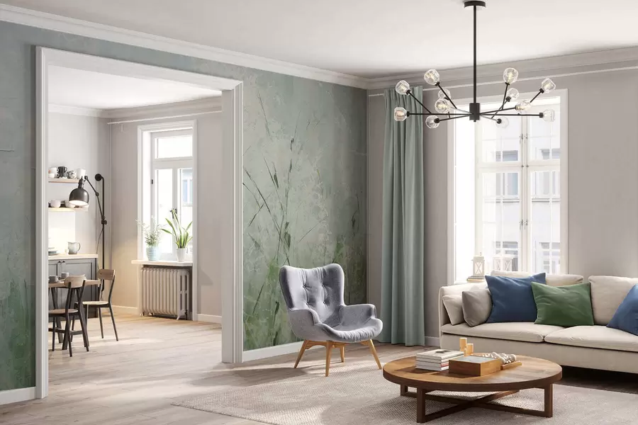 wall murals Grass lightness w05176