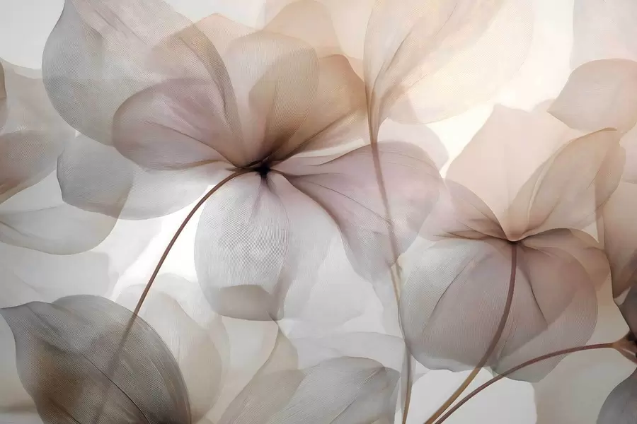 wall murals semi-transparent flowers with veins w05070