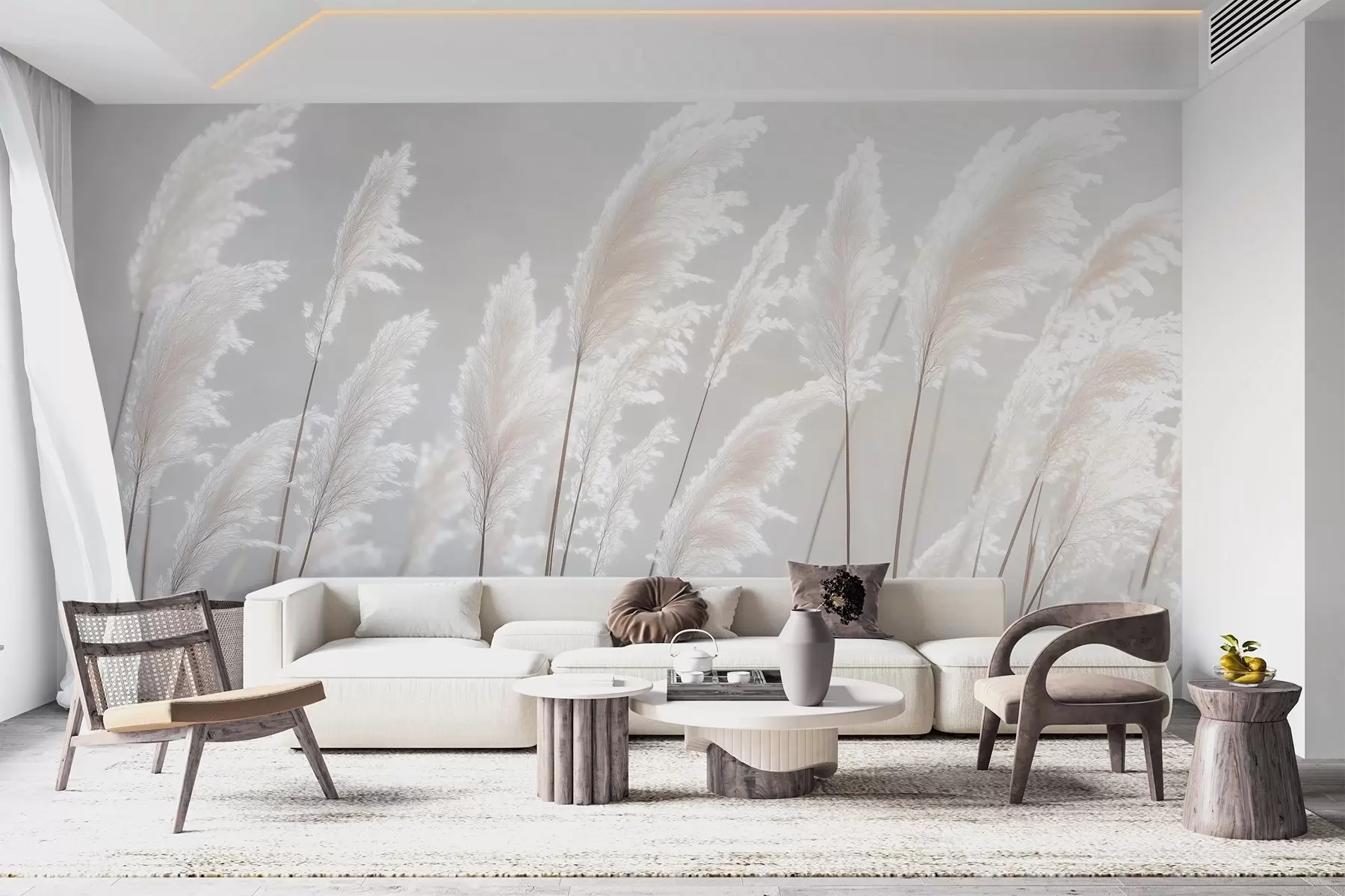 wall murals Soft white pampas grass in gentle morning light w09717