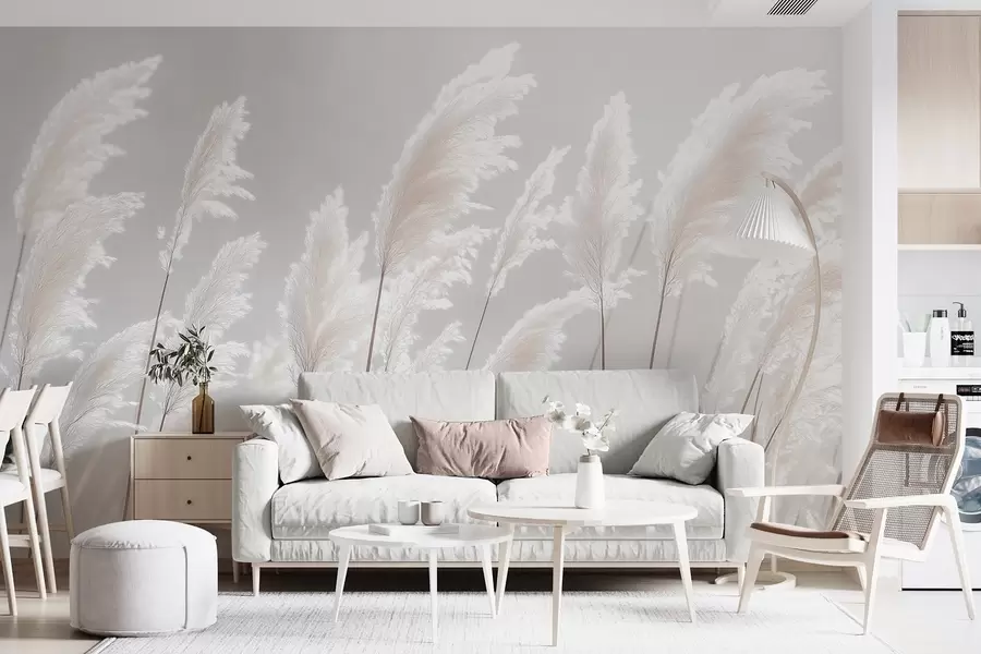 wall murals Soft white pampas grass in gentle morning light w09717