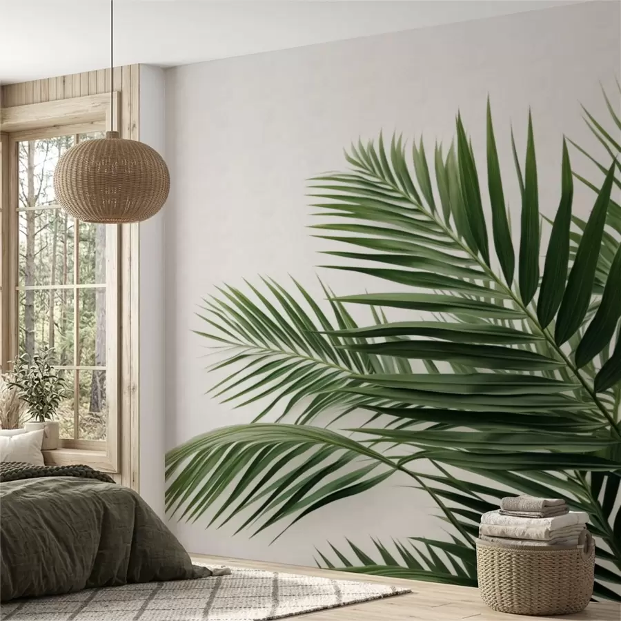 wall murals Green palm leaves on a light background w05391