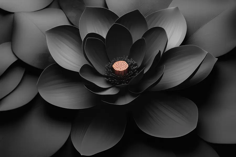wall murals Minimalist black flower with petals and a contrasting warm center w09721