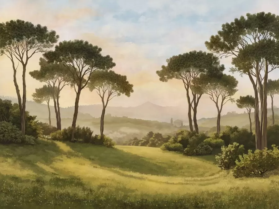 wall murals Landscape with trees in warm sunset light w05122