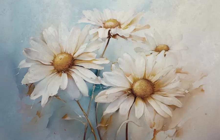 wall murals Floral lightness, daisies w09776