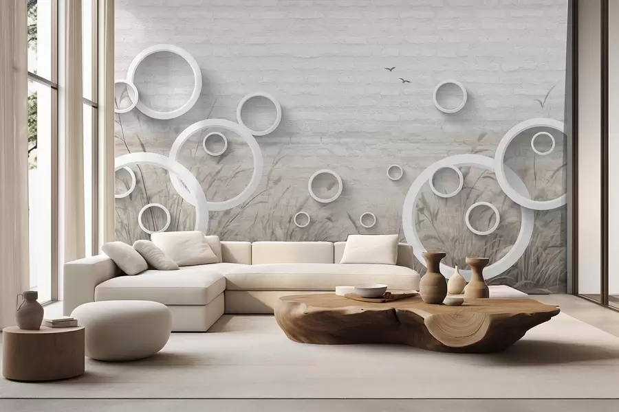wall murals Abstract circles w09781