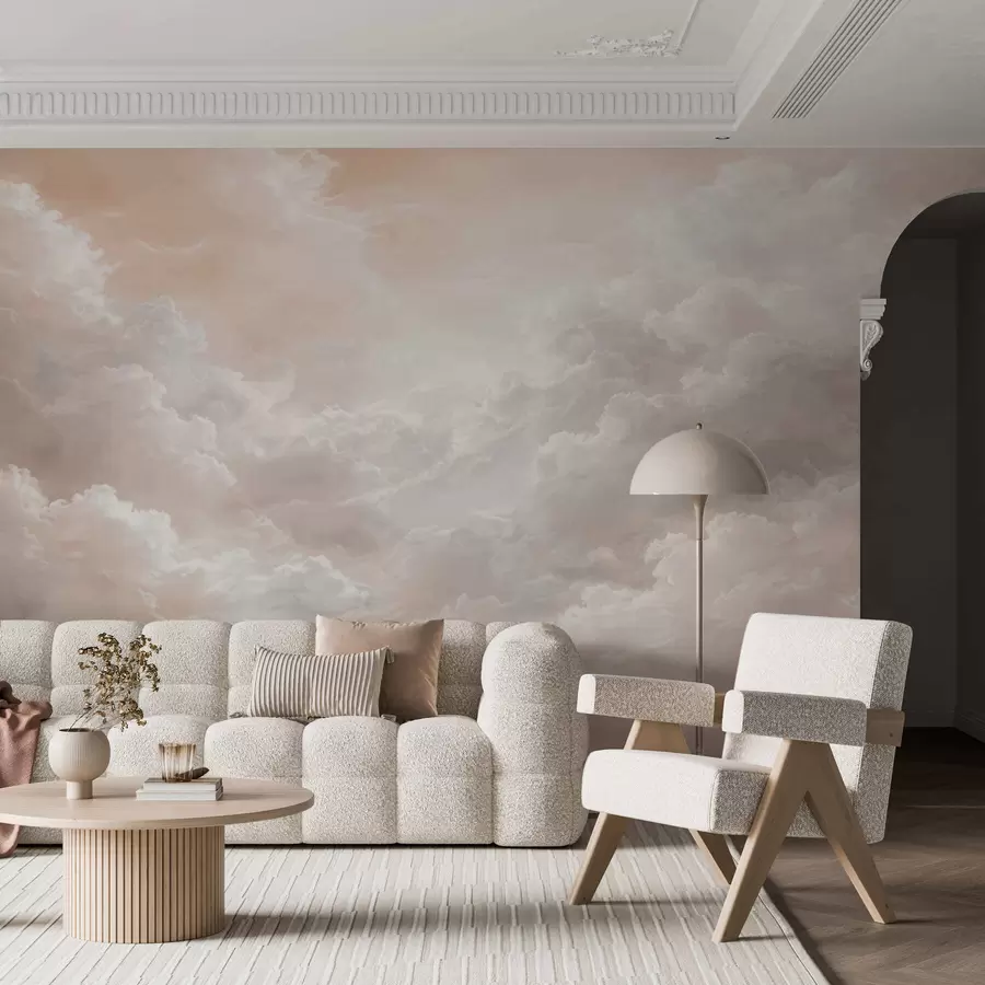 wall murals Dense clouds w05525v1