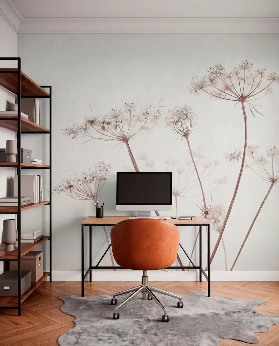wall murals Dried umbels on light minimal background w05543