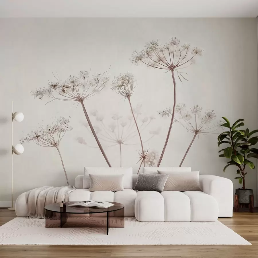 wall murals Dried umbels on light minimal background w05543