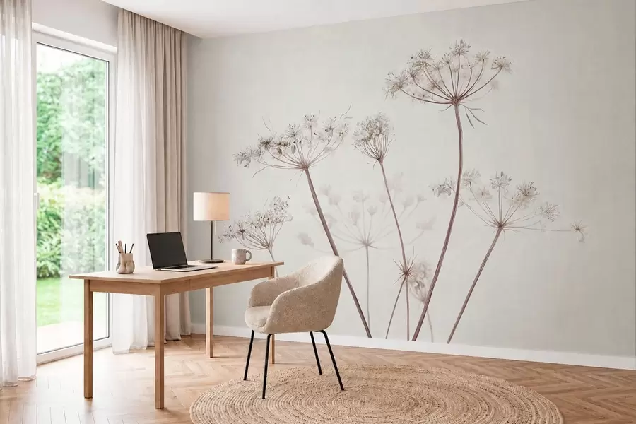 wall murals Dried umbels on light minimal background w05543