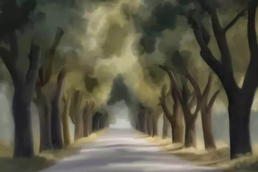 wall murals Trees w05509