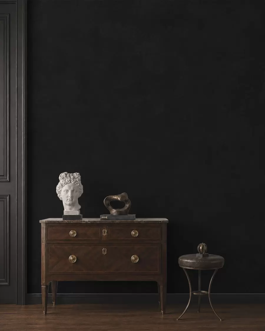 wall murals Deep charcoal tone with soft texture and subtle smoky transitions w05814v4