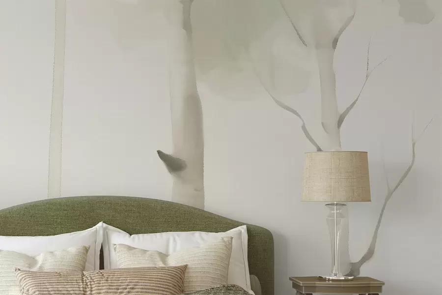 wall murals Birch trees w05676