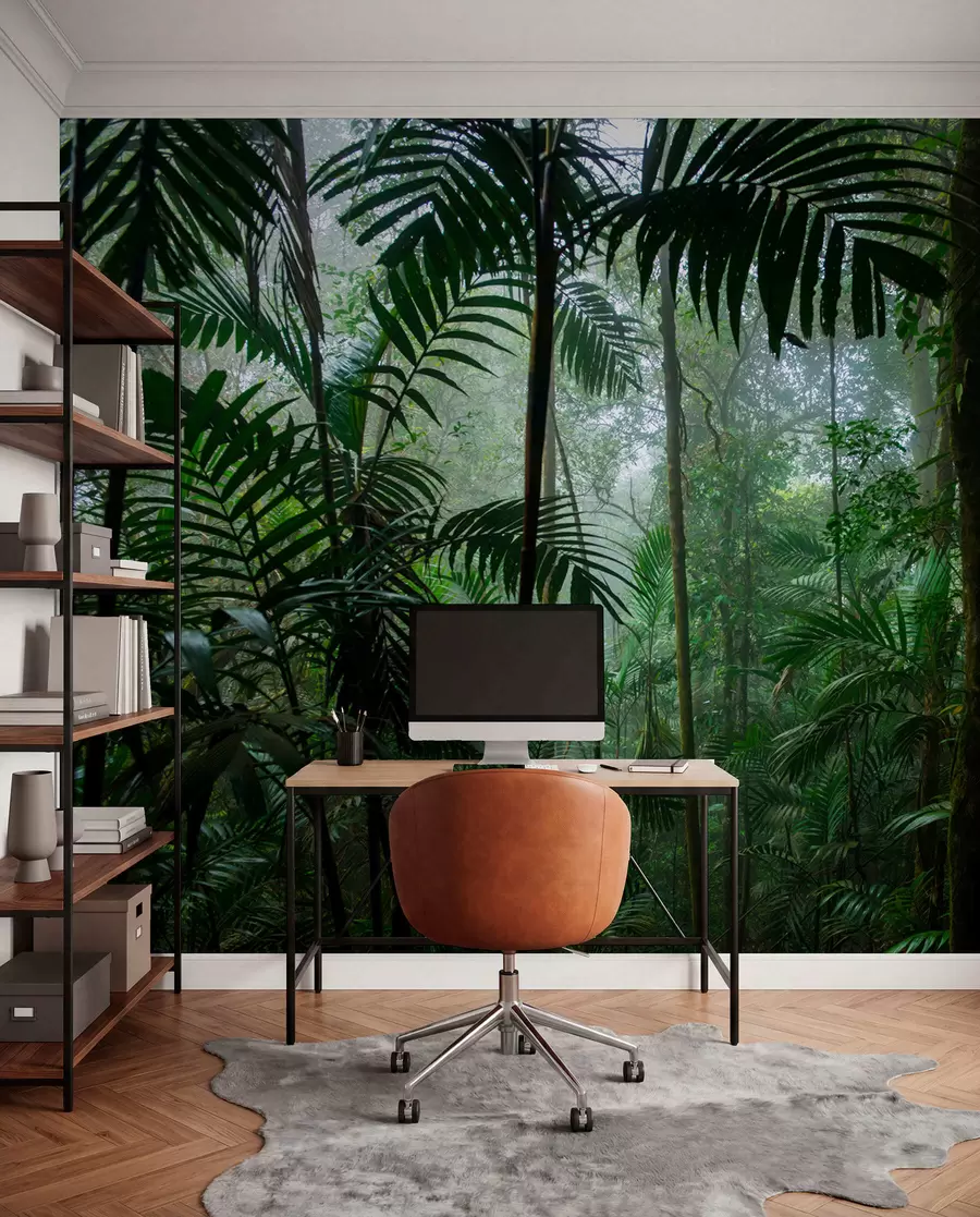 wall murals A tropical forest u72344