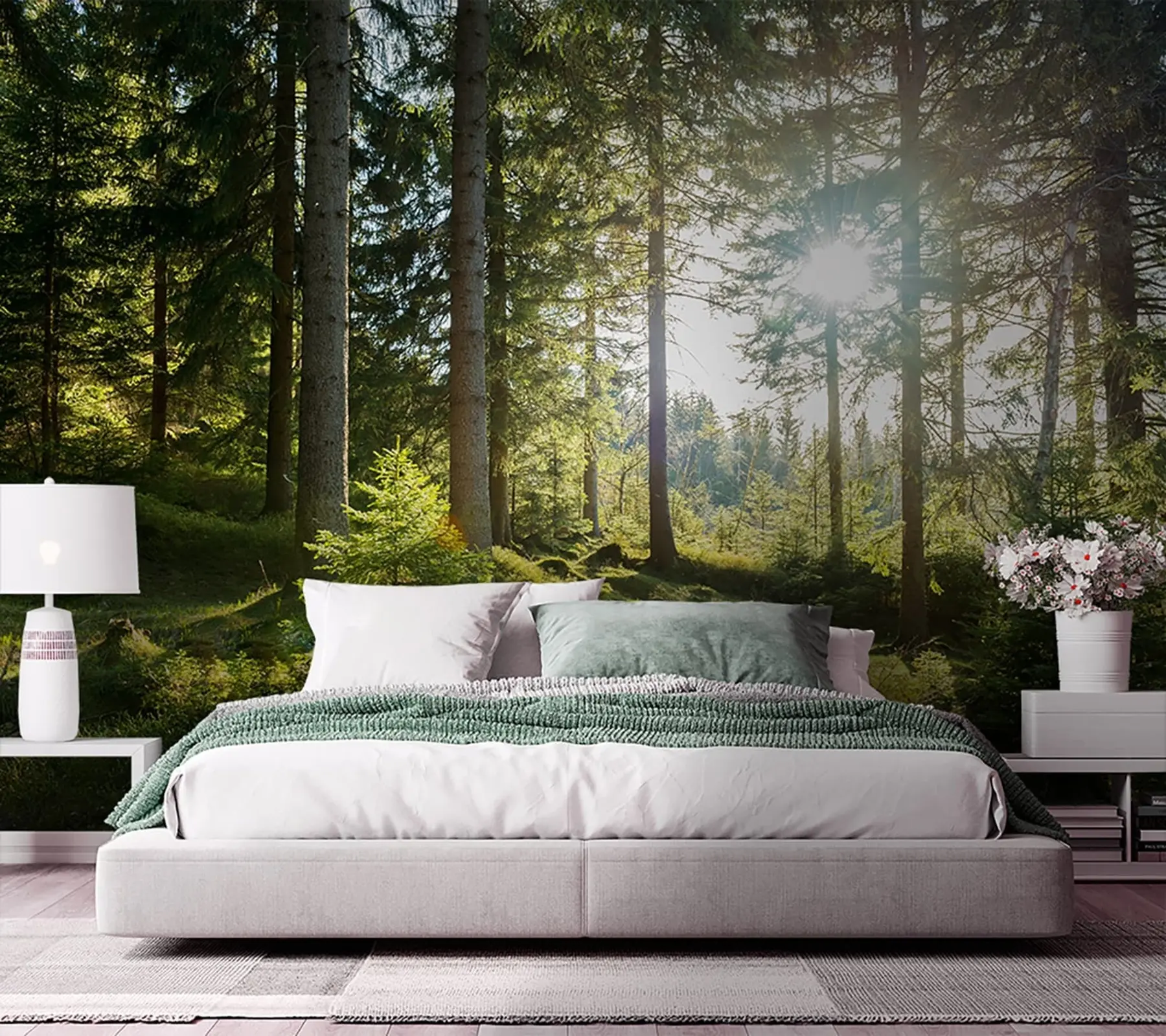 wall murals Carkonoshe Mountains in Poland u80015