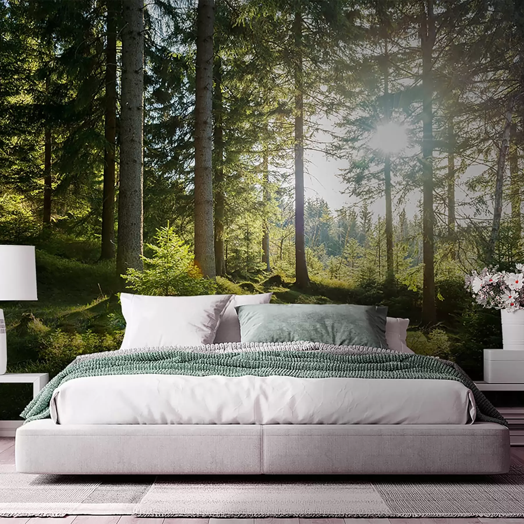 wall murals Carkonoshe Mountains in Poland u80015