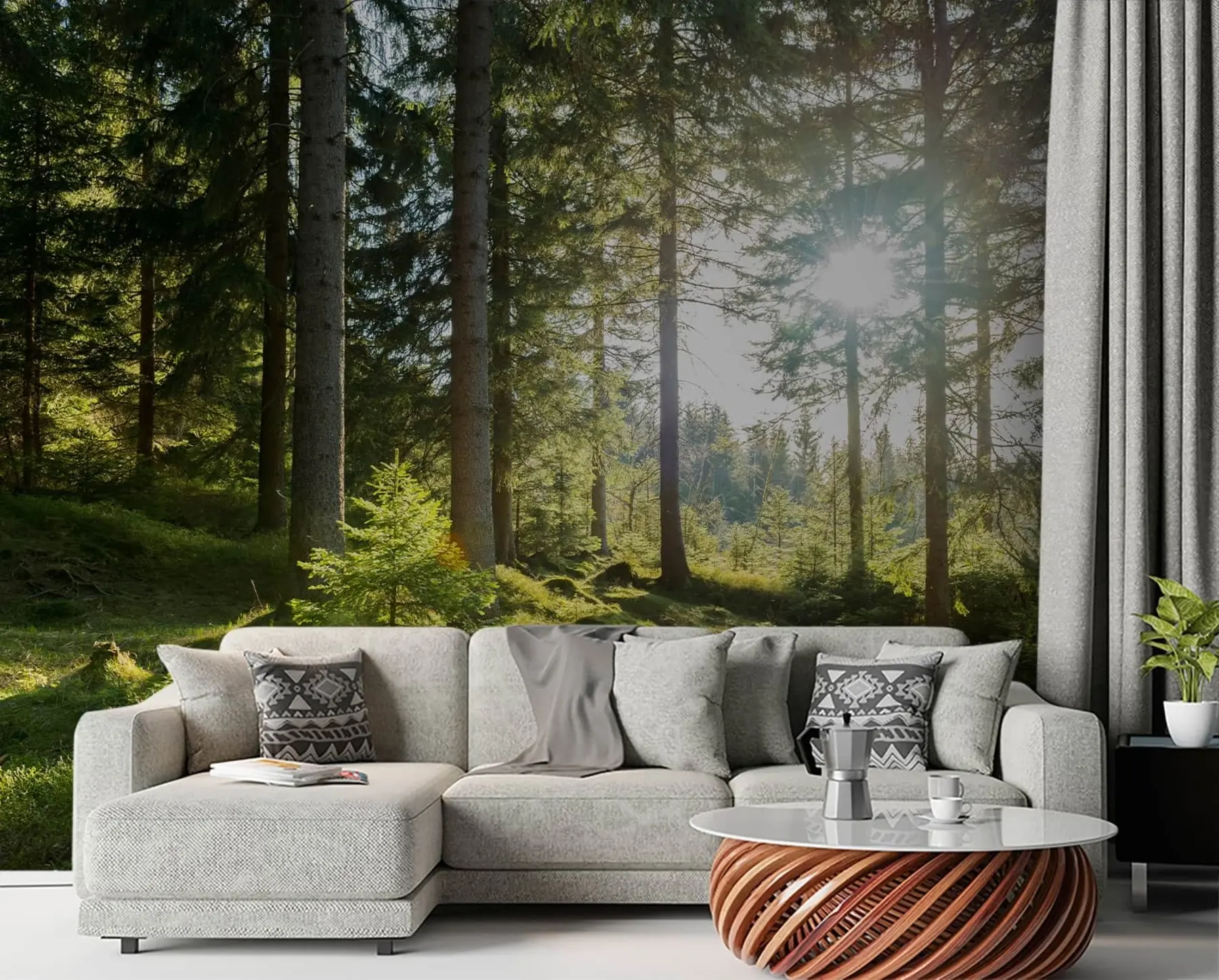 wall murals Carkonoshe Mountains in Poland u80015