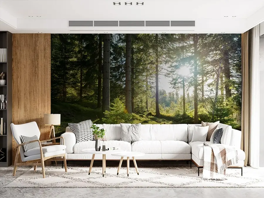 wall murals Carkonoshe Mountains in Poland u80015