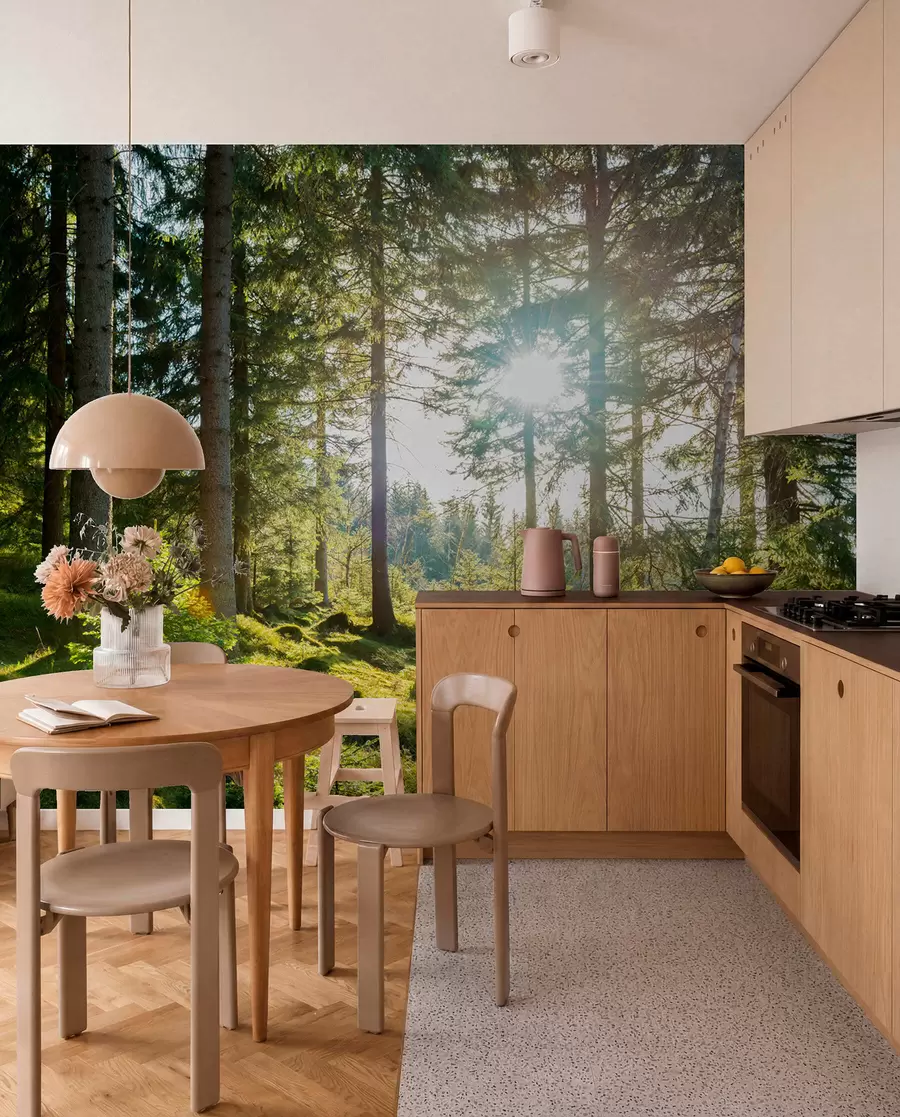 wall murals Carkonoshe Mountains in Poland u80015