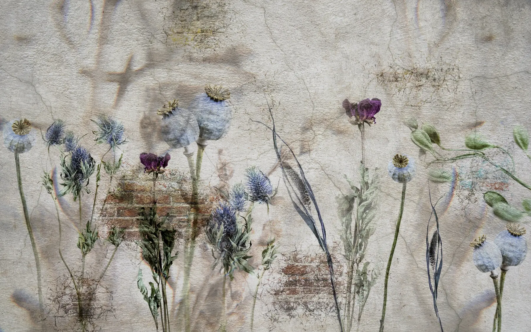 wall murals Flowers and herbs u72771