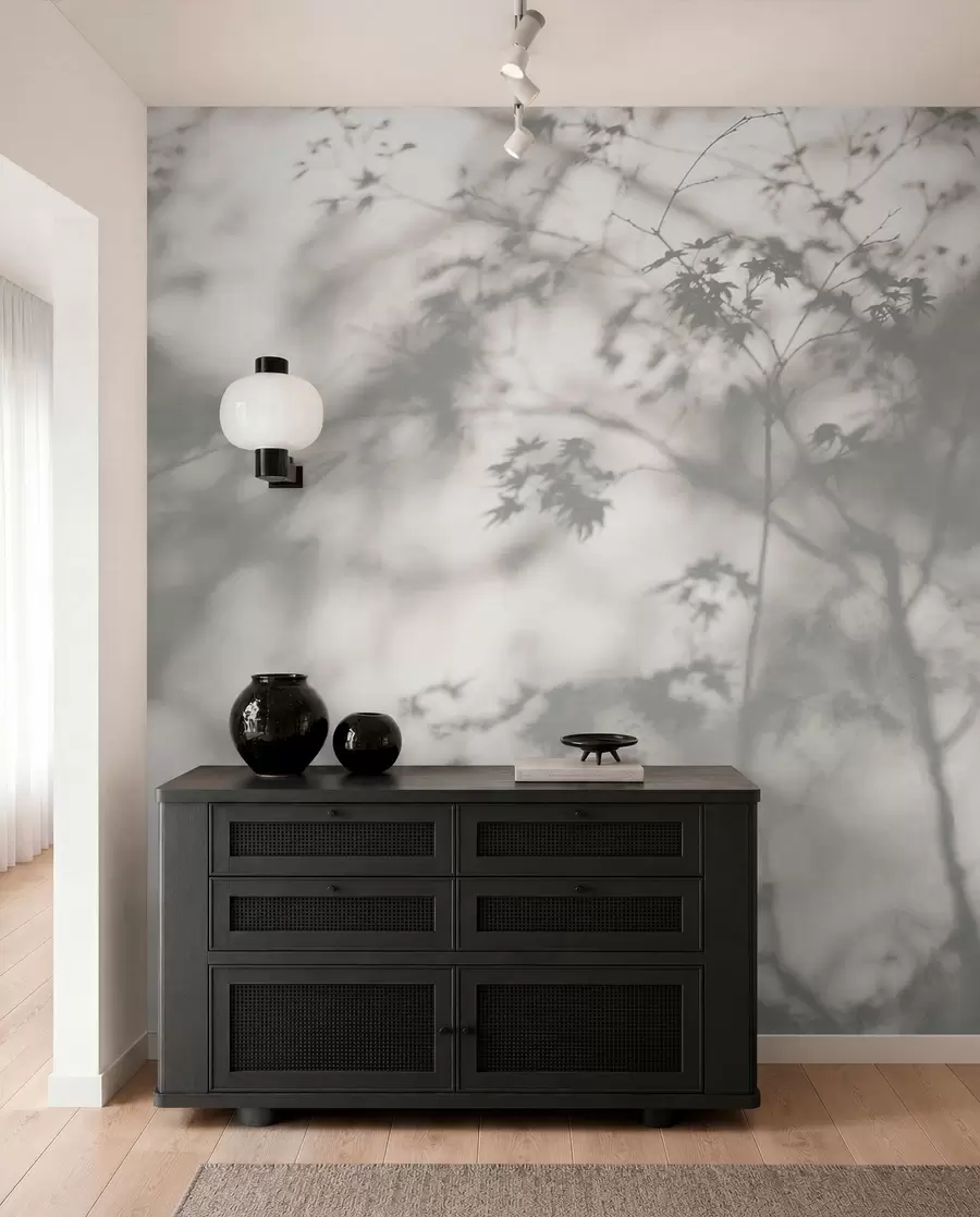 wall murals Shadow on the wall u79829
