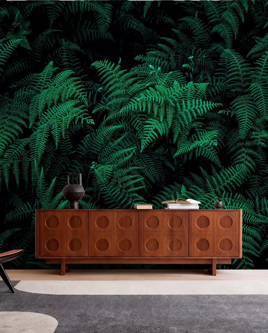 wall murals Fern u73636