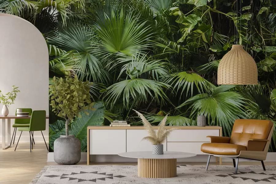 wall murals Wet leaves in the jungle u93616