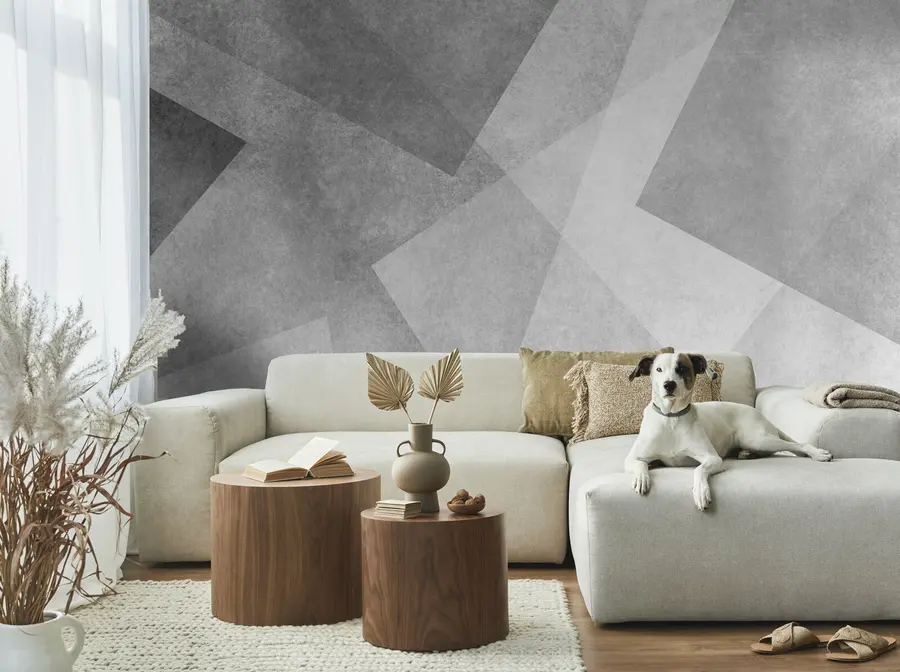 wall murals Geometric abstraction of gray u74057
