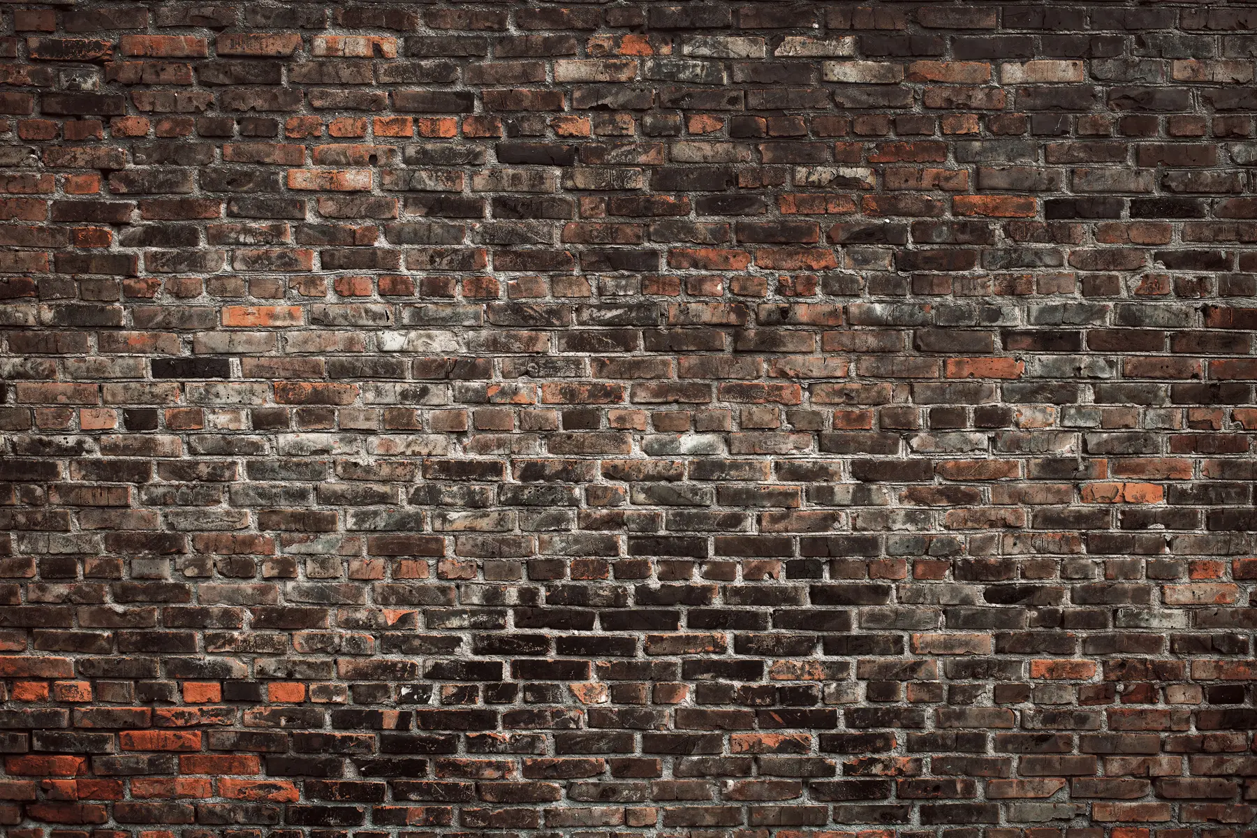 wall murals Brick Black u74267