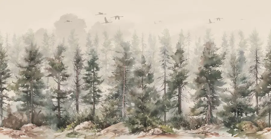 wall murals Pine forest u94848