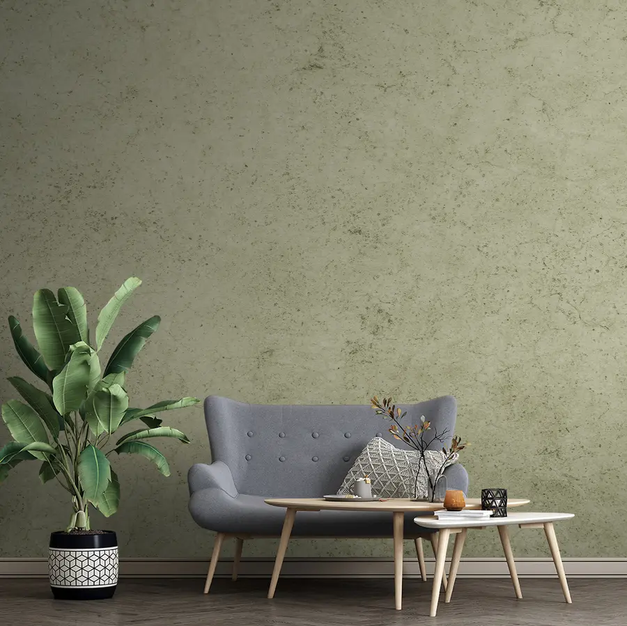 wall murals Olive concrete wall u97235