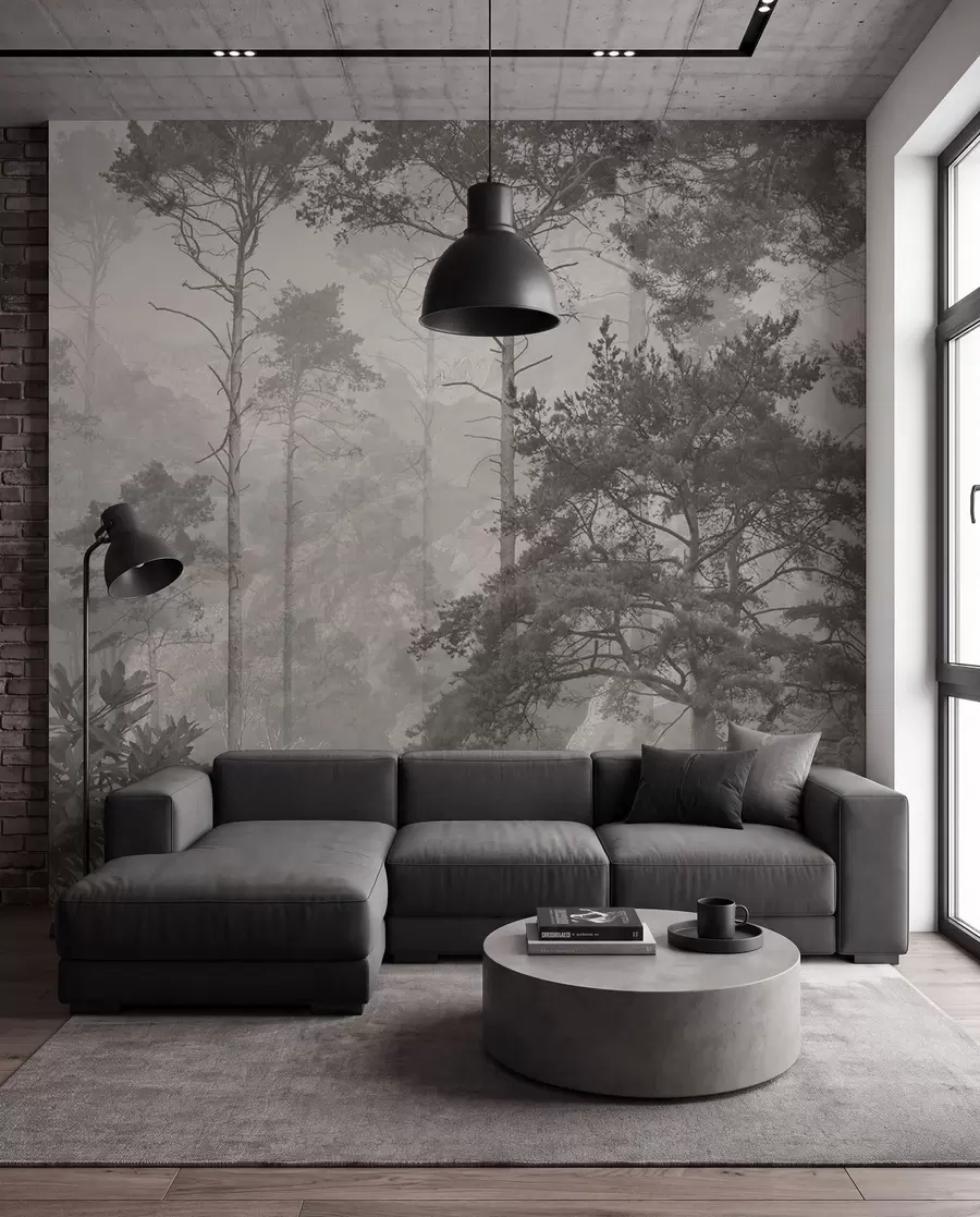 wall murals Tall trees on the hills, forest in the fog u97190