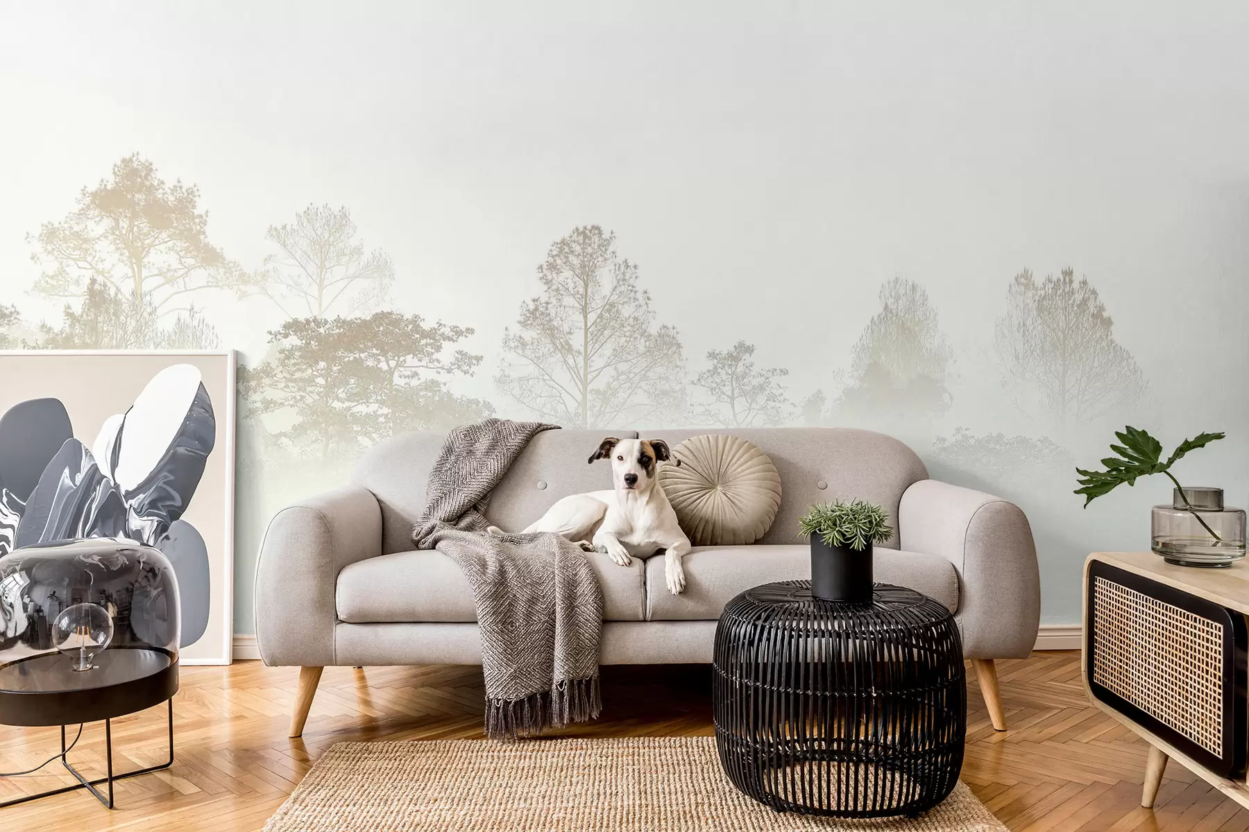 wall murals Silhouette of a grove of trees in thick white morning fog u97405