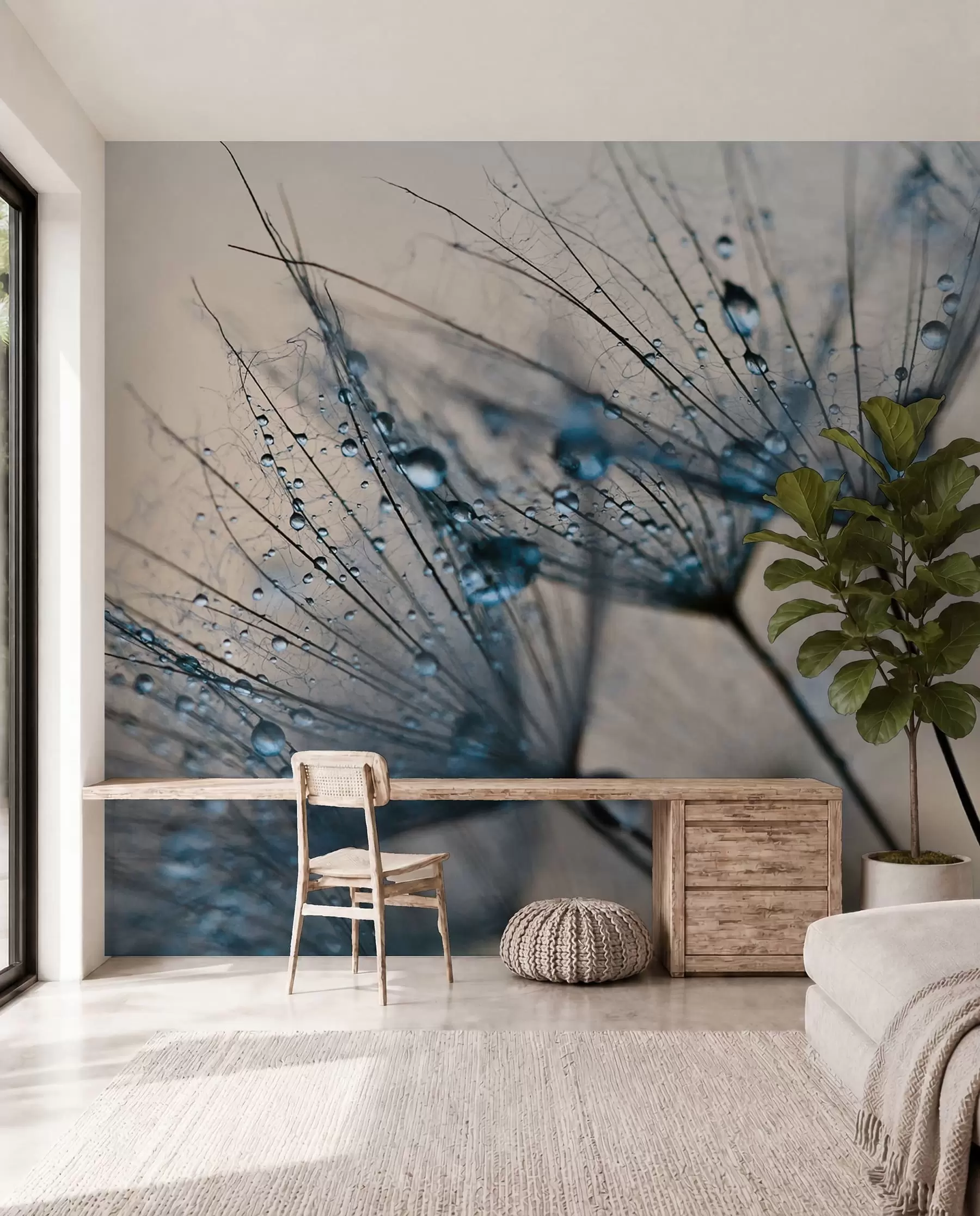 wall murals Dandelion Dew in Blue u57557v1