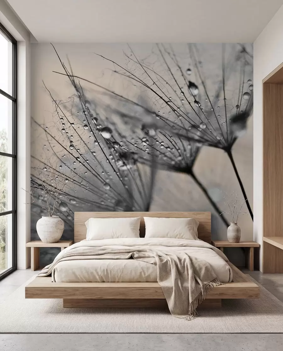 wall murals Dandelion Dew in Silver u57557v2