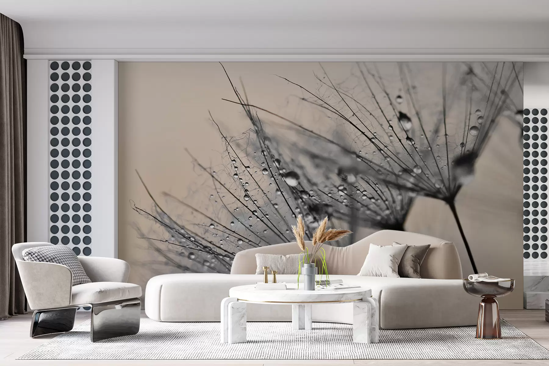wall murals Dandelions with gray water drops u57557v2