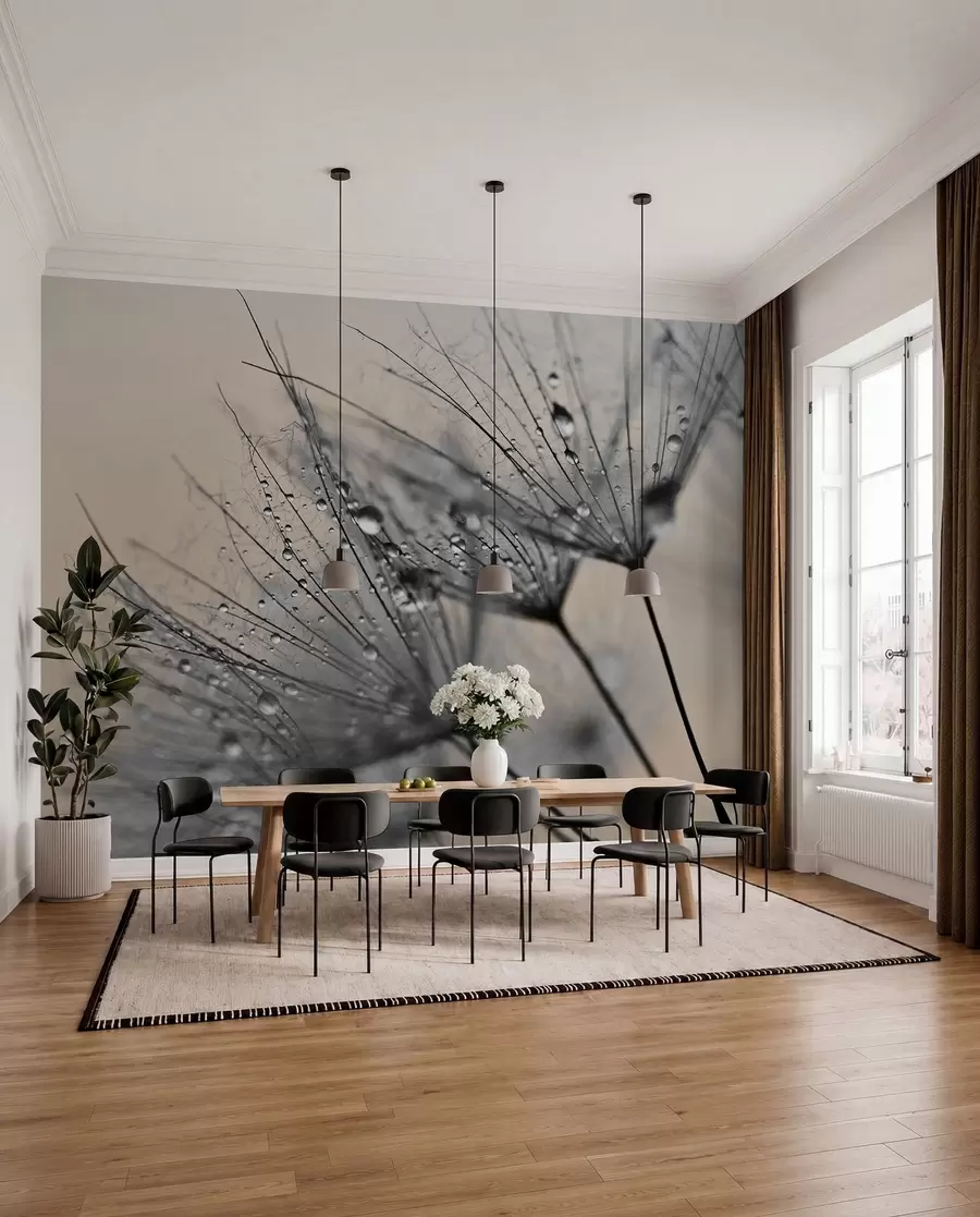 wall murals Dandelions with gray water drops u57557v2