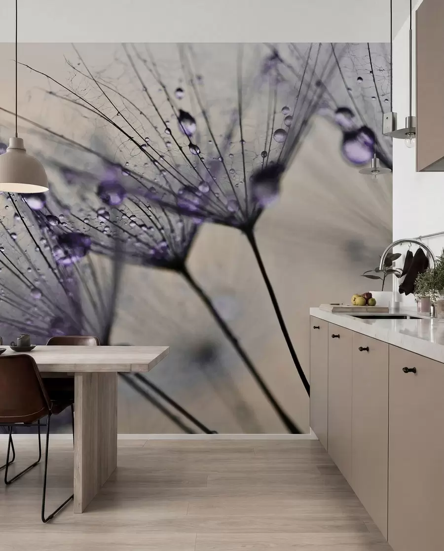 wall murals Dandelion Dew in Violet u57557v3