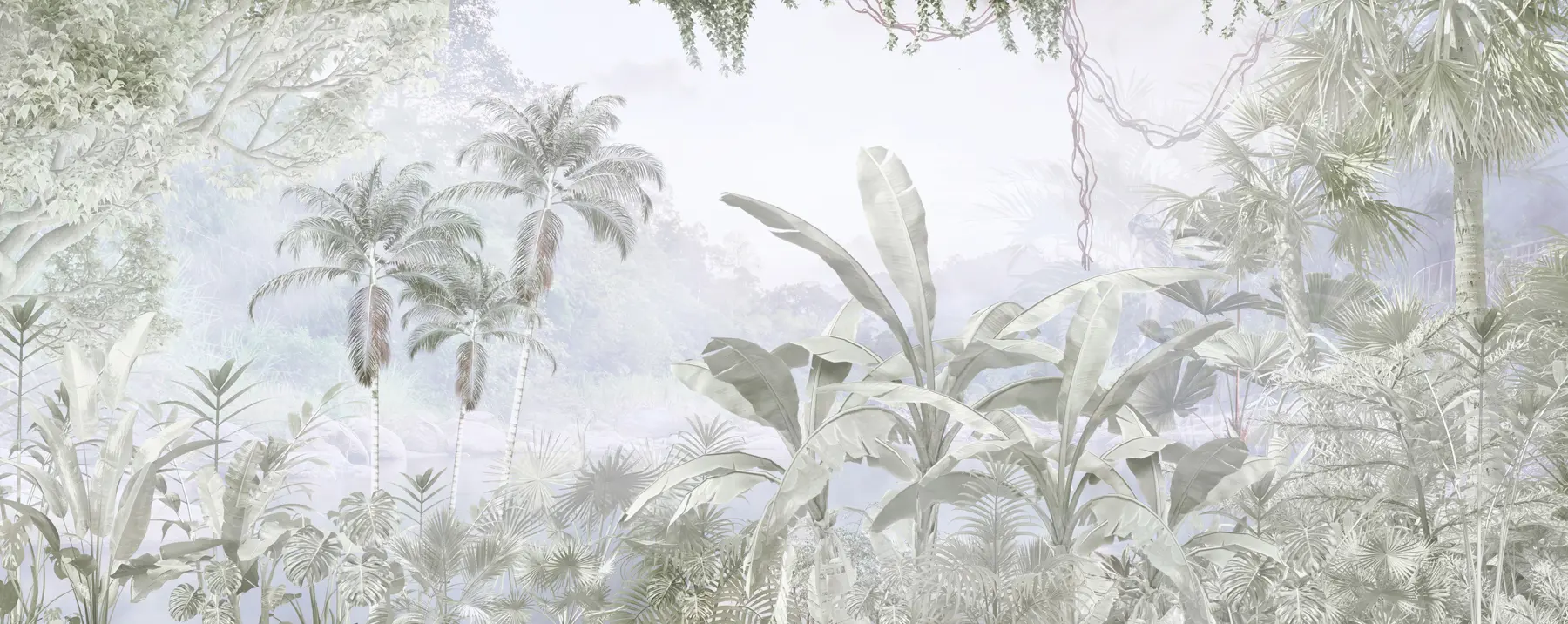 wall murals A tropical forest u97644