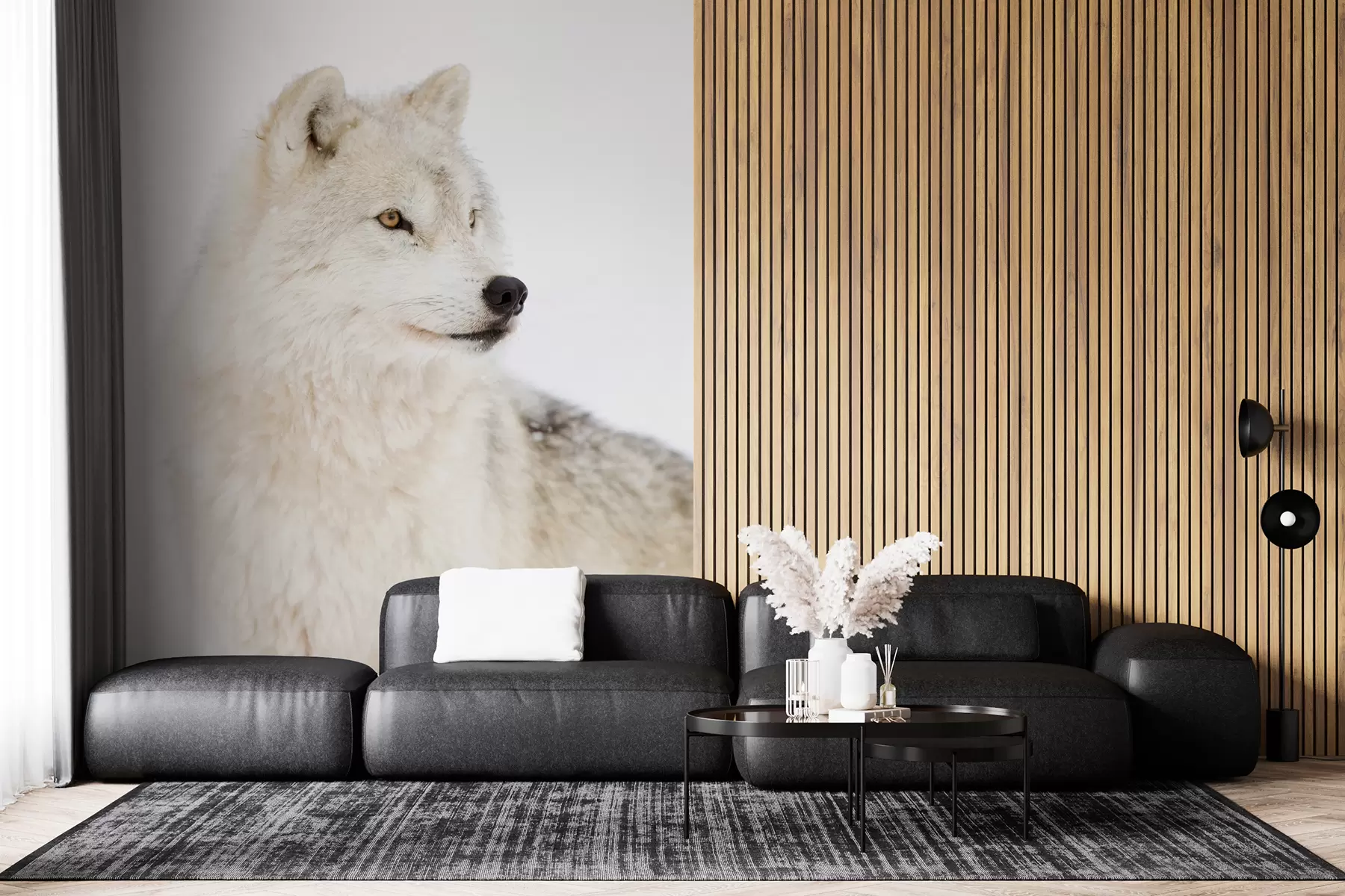 wall murals Arctic wolf on white background u98189