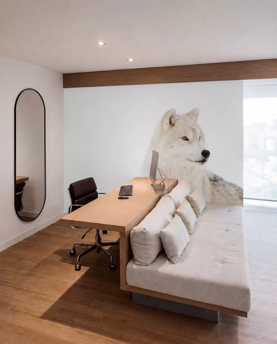 wall murals White Wolf Portrait u98189
