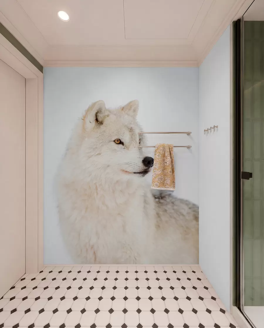 wall murals Arctic wolf on white background u98189