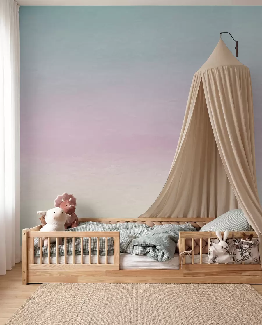 wall murals A Fade from Rose to Blue u98238